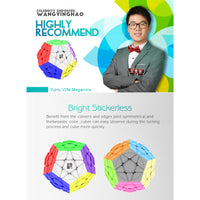 YJ YU Megaminx Magnetic Stickerless Speedcube-Cubuzzle