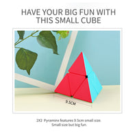 Qiyi 2x2 Pyraminx Pyramid Cube-Cubuzzle